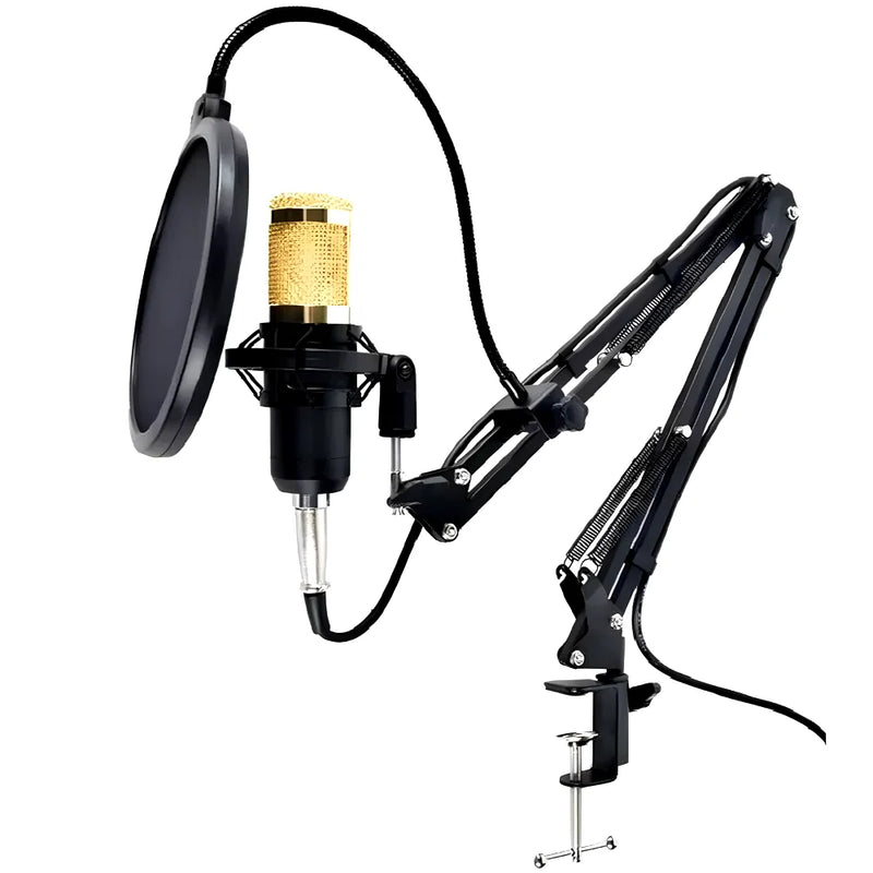 Kit Completo Interface Mesa V8 + Microfone Bm800 Com Braço Articulado