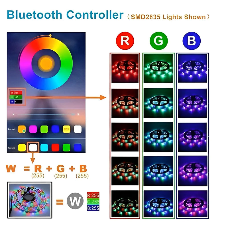 Fita LED RGB de 5 m com fonte e controle de dupla face